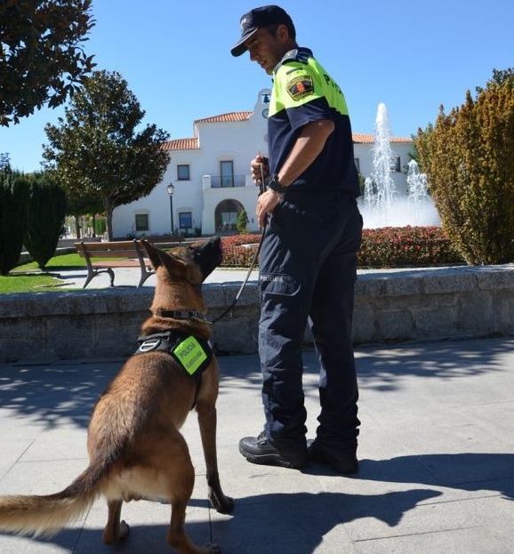 primer perro policía