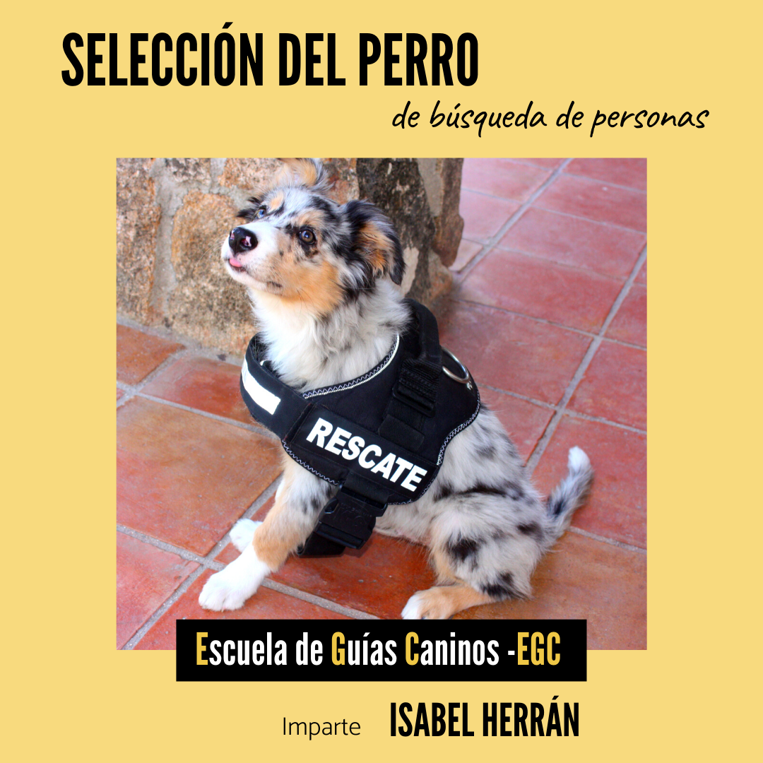 Selección del perro