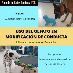 Uso olfato modificación conducta